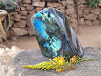 Polished Labradorite Standing Free Form x 1 From Tulear, Madagascar - Toprock Gemstones and Minerals 
