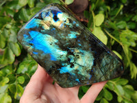 Polished Labradorite Standing Free Form x 1 From Tulear, Madagascar - Toprock Gemstones and Minerals 