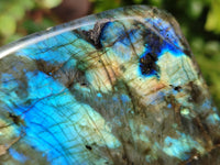 Polished Labradorite Standing Free Form x 1 From Tulear, Madagascar - Toprock Gemstones and Minerals 