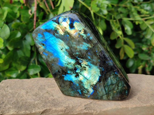Polished Labradorite Standing Free Form x 1 From Tulear, Madagascar
