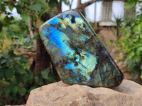Polished Labradorite Standing Free Form x 1 From Tulear, Madagascar - Toprock Gemstones and Minerals 