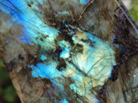 Polished Labradorite Standing Free Form x 1 From Tulear, Madagascar - Toprock Gemstones and Minerals 