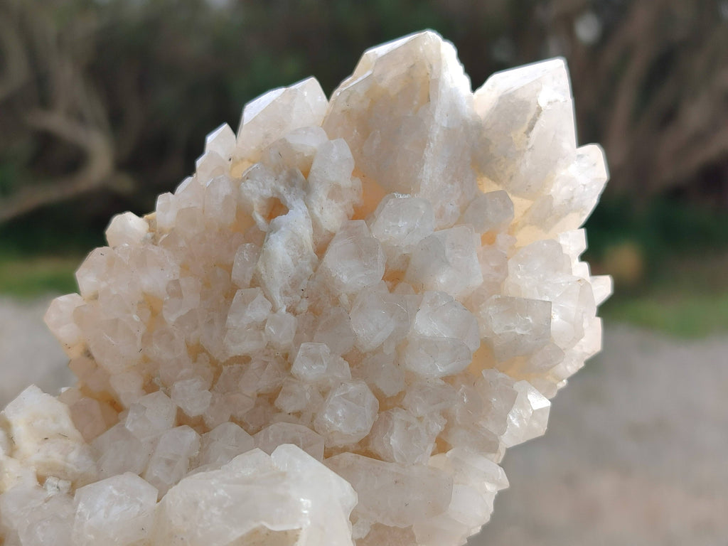 Natural Candle Quartz Clusters x 2 From Madagascar - Toprock Gemstones and Minerals 
