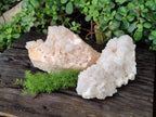 Natural Candle Quartz Clusters x 2 From Madagascar - Toprock Gemstones and Minerals 