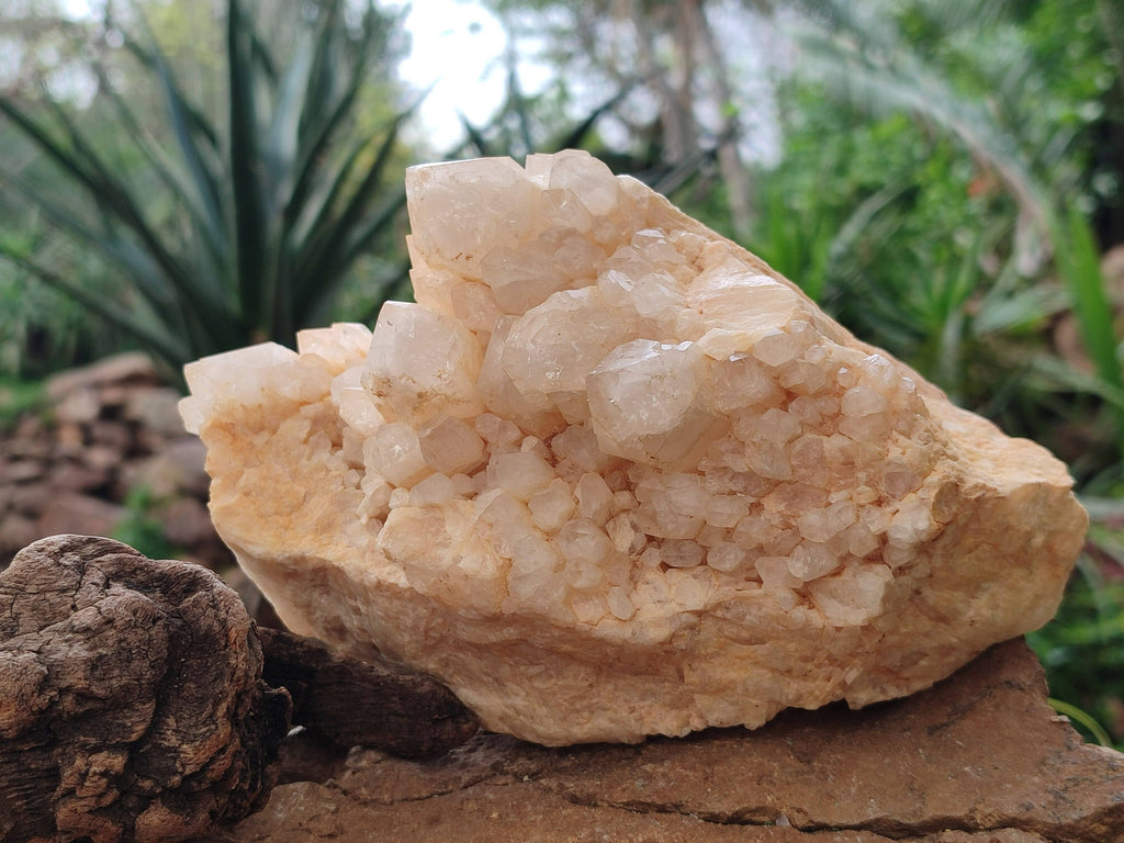 Natural Candle Quartz Clusters x 2 From Madagascar - Toprock Gemstones and Minerals 