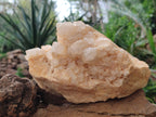 Natural Candle Quartz Clusters x 2 From Madagascar - Toprock Gemstones and Minerals 