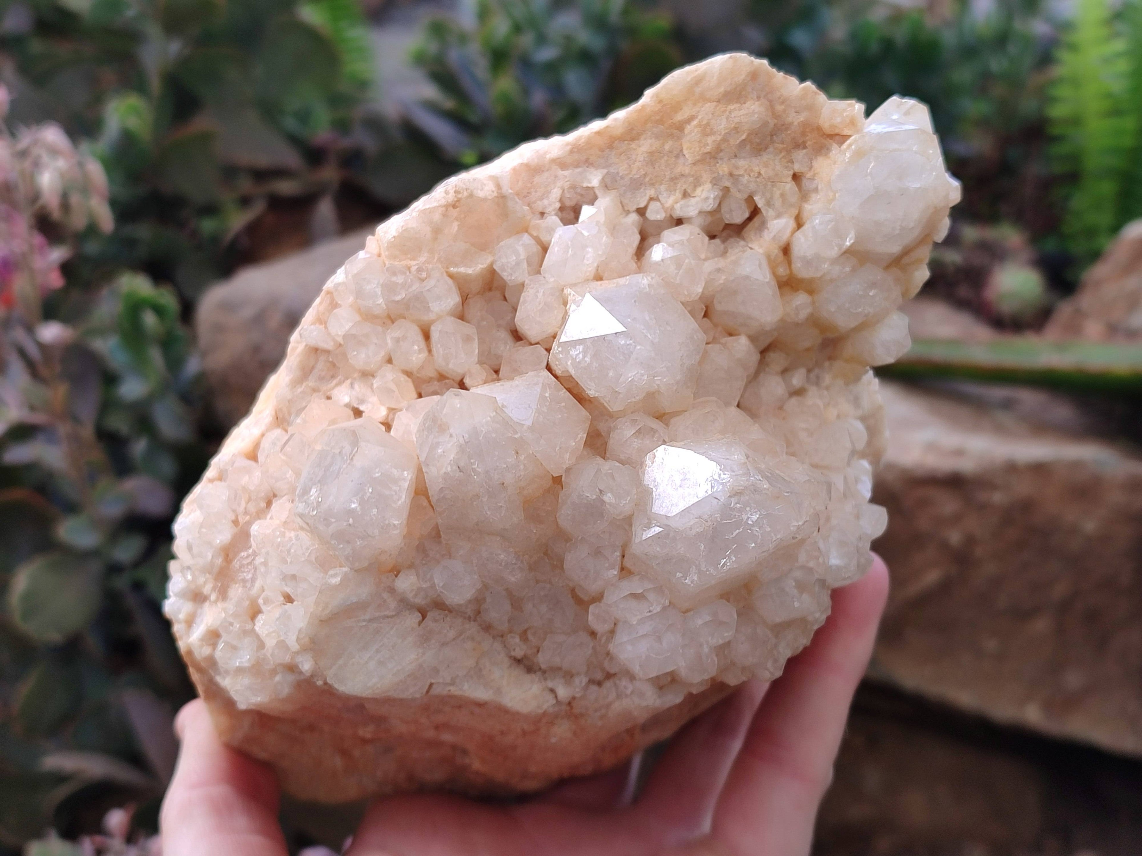 Natural Candle Quartz Clusters x 2 From Madagascar - Toprock Gemstones and Minerals 