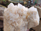 Natural Candle Quartz Clusters x 2 From Madagascar - Toprock Gemstones and Minerals 