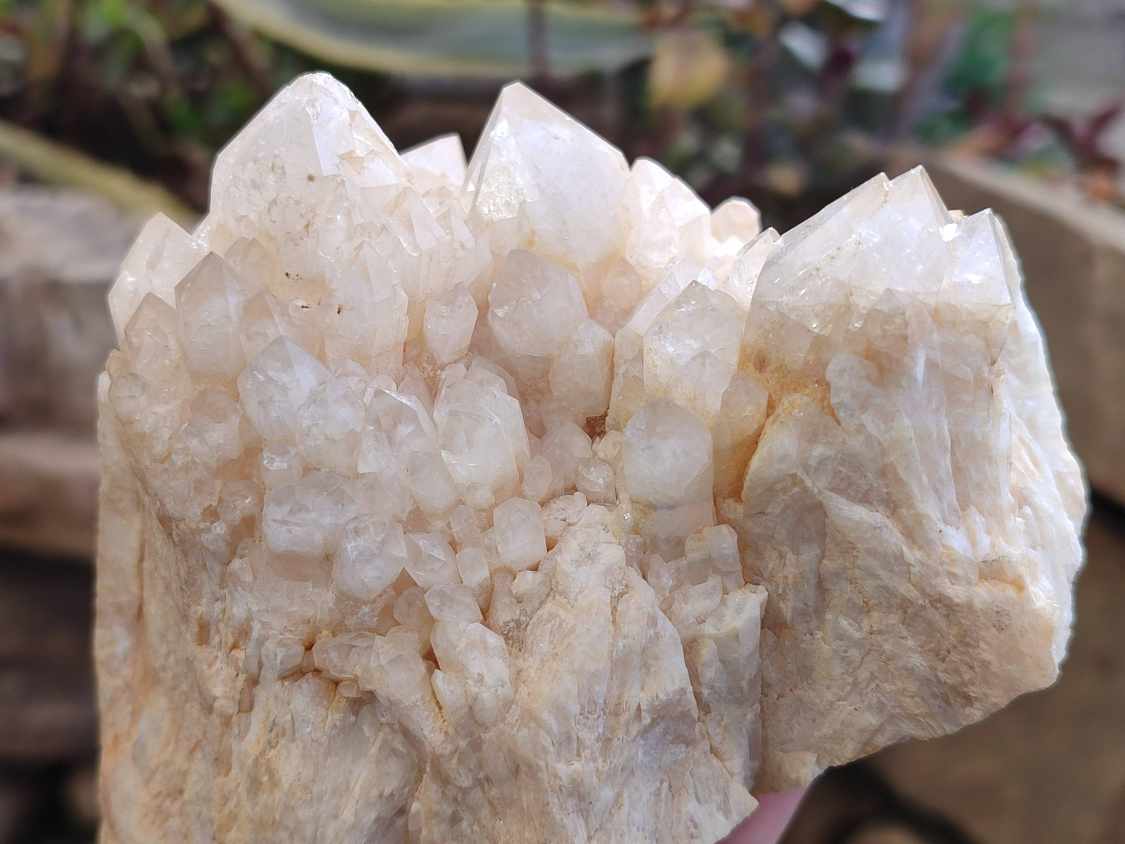 Natural Candle Quartz Clusters x 2 From Madagascar - Toprock Gemstones and Minerals 