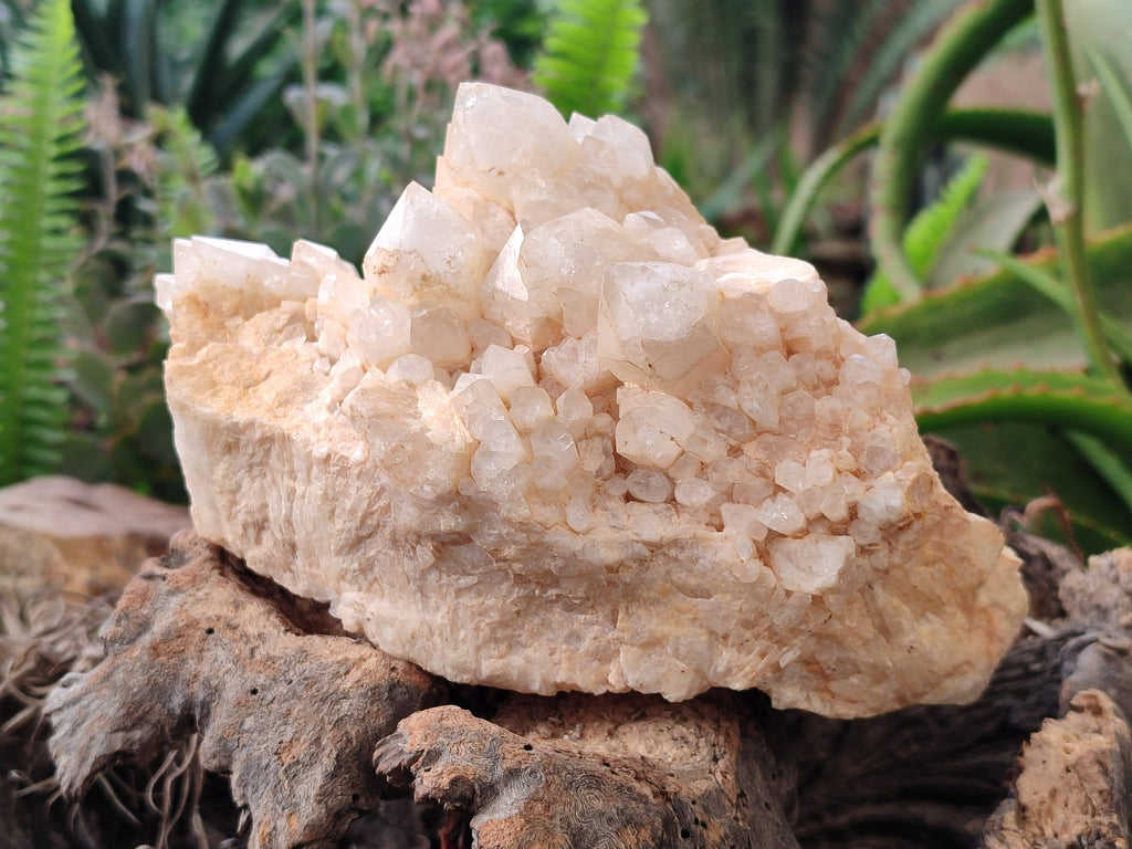 Natural Candle Quartz Clusters x 2 From Madagascar - Toprock Gemstones and Minerals 