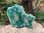Polished On One Side Emerald Mtorolite x 6 From Mutorashanga, Zimbabwe - Toprock Gemstones and Minerals 