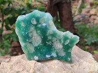 Polished On One Side Emerald Mtorolite x 6 From Mutorashanga, Zimbabwe