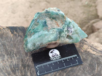Polished On One Side Emerald Mtorolite x 6 From Mutorashanga, Zimbabwe