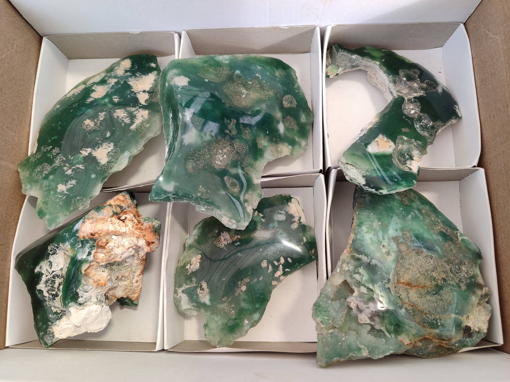 Polished On One Side Emerald Mtorolite x 6 From Mutorashanga, Zimbabwe - Toprock Gemstones and Minerals 