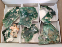 Polished On One Side Emerald Mtorolite x 6 From Mutorashanga, Zimbabwe