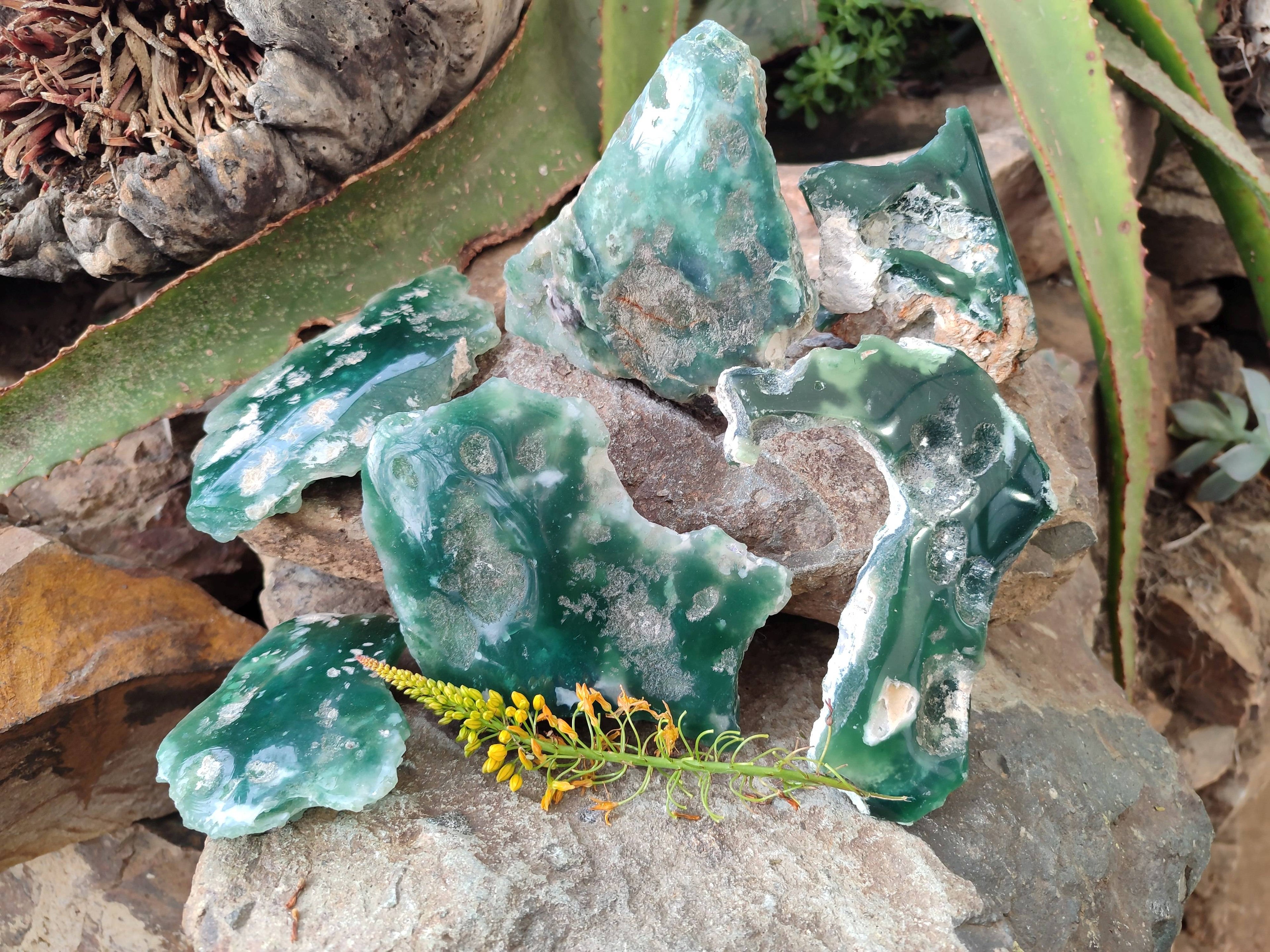 Polished On One Side Emerald Mtorolite x 6 From Mutorashanga, Zimbabwe - Toprock Gemstones and Minerals 