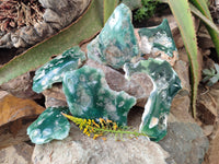 Polished On One Side Emerald Mtorolite x 6 From Mutorashanga, Zimbabwe