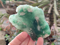 Polished On One Side Emerald Mtorolite x 6 From Mutorashanga, Zimbabwe