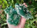 Polished On One Side Emerald Mtorolite x 6 From Mutorashanga, Zimbabwe - Toprock Gemstones and Minerals 