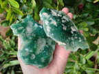 Polished On One Side Emerald Mtorolite x 6 From Mutorashanga, Zimbabwe - Toprock Gemstones and Minerals 