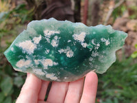 Polished On One Side Emerald Mtorolite x 6 From Mutorashanga, Zimbabwe