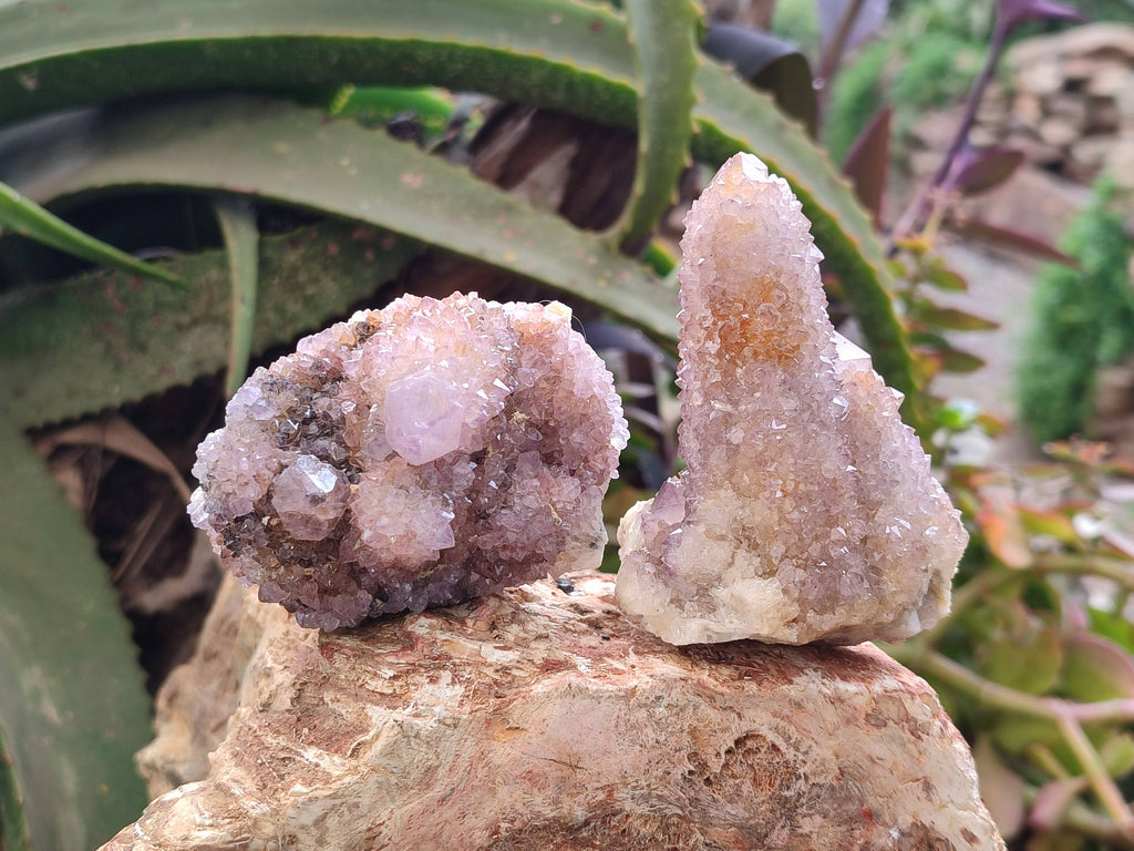 Natural Amethyst Spirit Quartz Clusters x 6 From South Africa - Toprock Gemstones and Minerals 