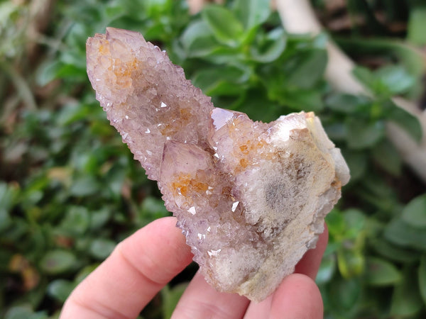Natural Amethyst Spirit Quartz Clusters x 6 From South Africa