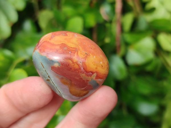 Polished Polychrome Jasper Palm Stones x 73 From Madagascar