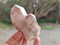 Natural Hematoid Quartz Clusters x 6 From Zimbabwe