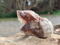 Natural Hematoid Quartz Clusters x 6 From Zimbabwe