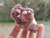 Natural Hematoid Quartz Clusters x 6 From Zimbabwe