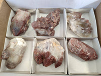 Natural Hematoid Quartz Clusters x 6 From Zimbabwe