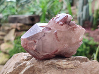 Natural Hematoid Quartz Clusters x 6 From Zimbabwe