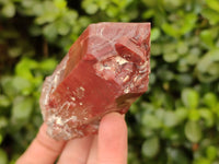 Natural Hematoid Quartz Clusters x 6 From Zimbabwe
