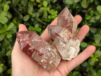Natural Hematoid Quartz Clusters x 6 From Zimbabwe