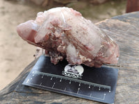 Natural Hematoid Quartz Clusters x 6 From Zimbabwe