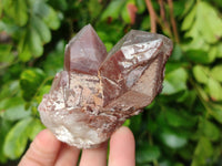 Natural Hematoid Quartz Clusters x 6 From Zimbabwe