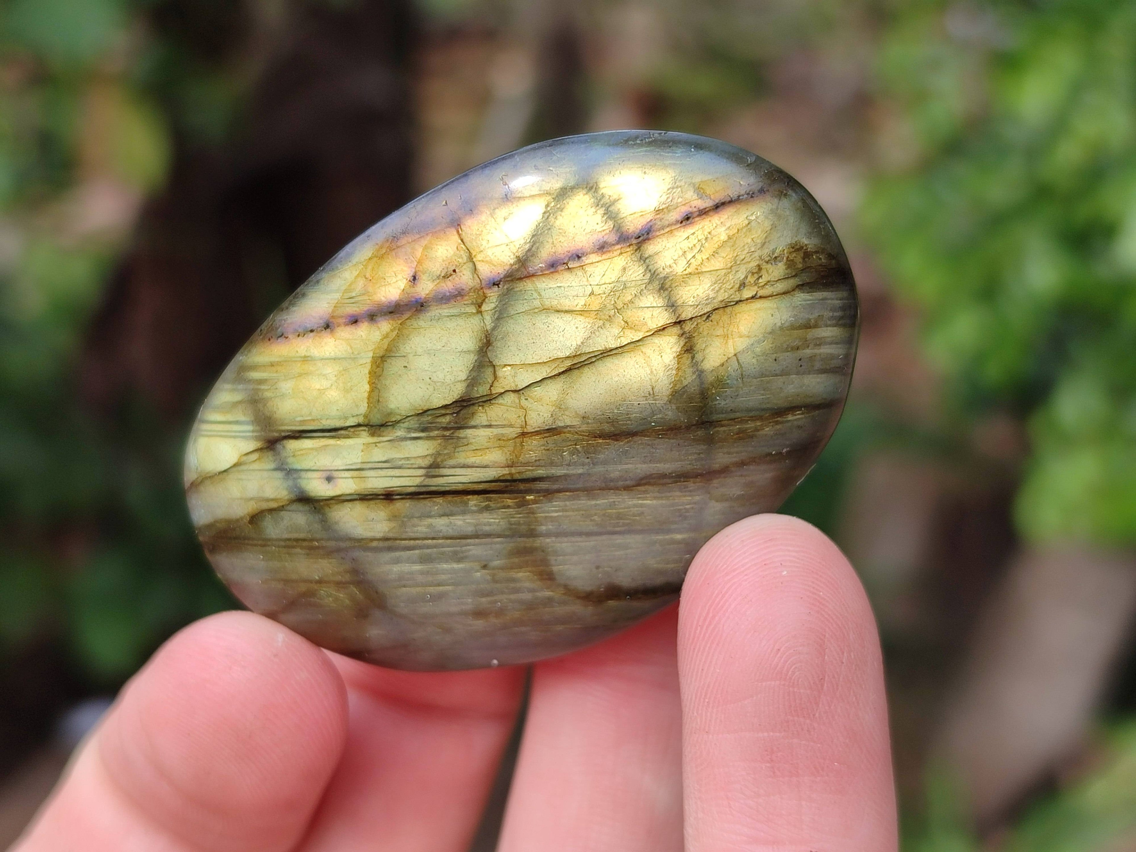 Polished Labradorite Palm Stones x 20 From Tulear, Madagascar - Toprock Gemstones and Minerals 