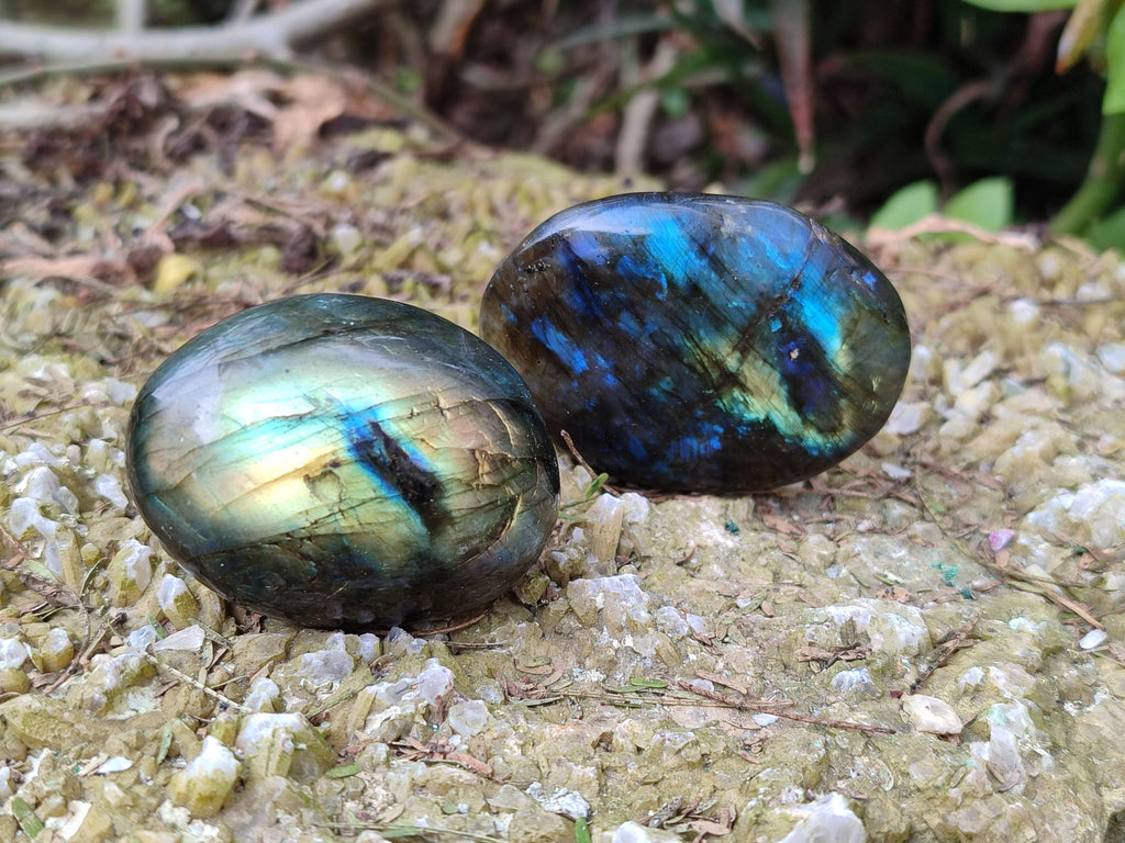 Polished Labradorite Palm Stones x 20 From Tulear, Madagascar - Toprock Gemstones and Minerals 