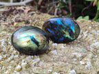 Polished Labradorite Palm Stones x 20 From Tulear, Madagascar - Toprock Gemstones and Minerals 