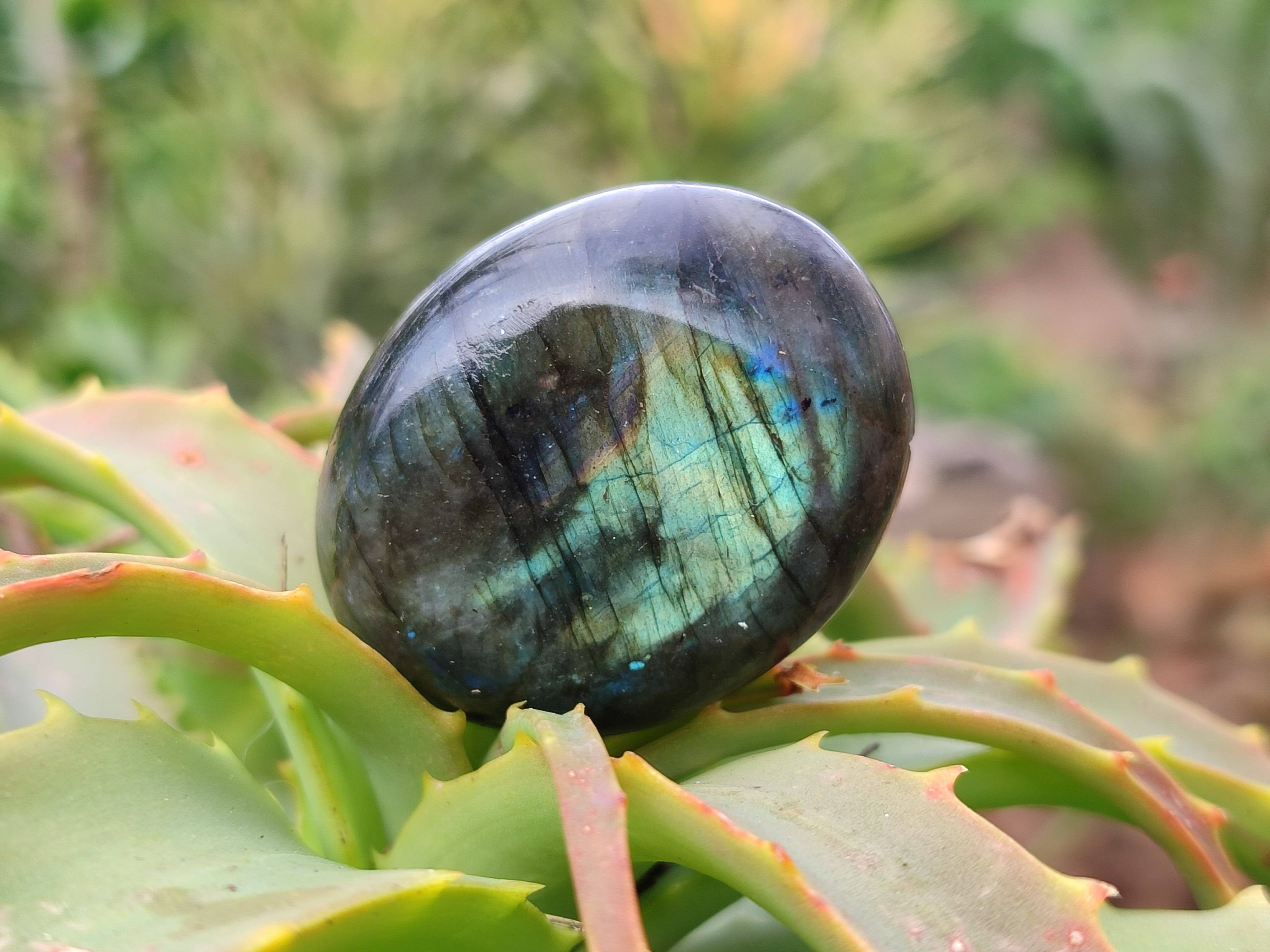 Polished Labradorite Palm Stones x 20 From Tulear, Madagascar - Toprock Gemstones and Minerals 