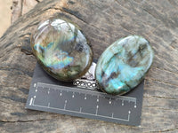 Polished Labradorite Palm Stones x 20 From Tulear, Madagascar - Toprock Gemstones and Minerals 