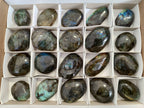 Polished Labradorite Palm Stones x 20 From Tulear, Madagascar - Toprock Gemstones and Minerals 