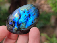 Polished Labradorite Palm Stones x 20 From Tulear, Madagascar - Toprock Gemstones and Minerals 