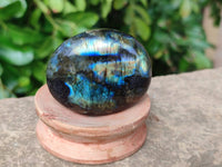 Polished Labradorite Palm Stones x 20 From Tulear, Madagascar - Toprock Gemstones and Minerals 