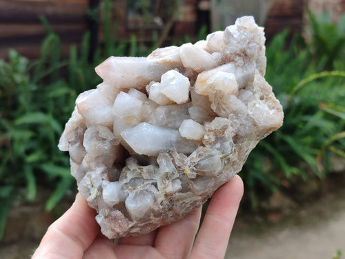 Natural Fairy Spirit Quartz Clusters x 3 From South Africa - Toprock Gemstones and Minerals 
