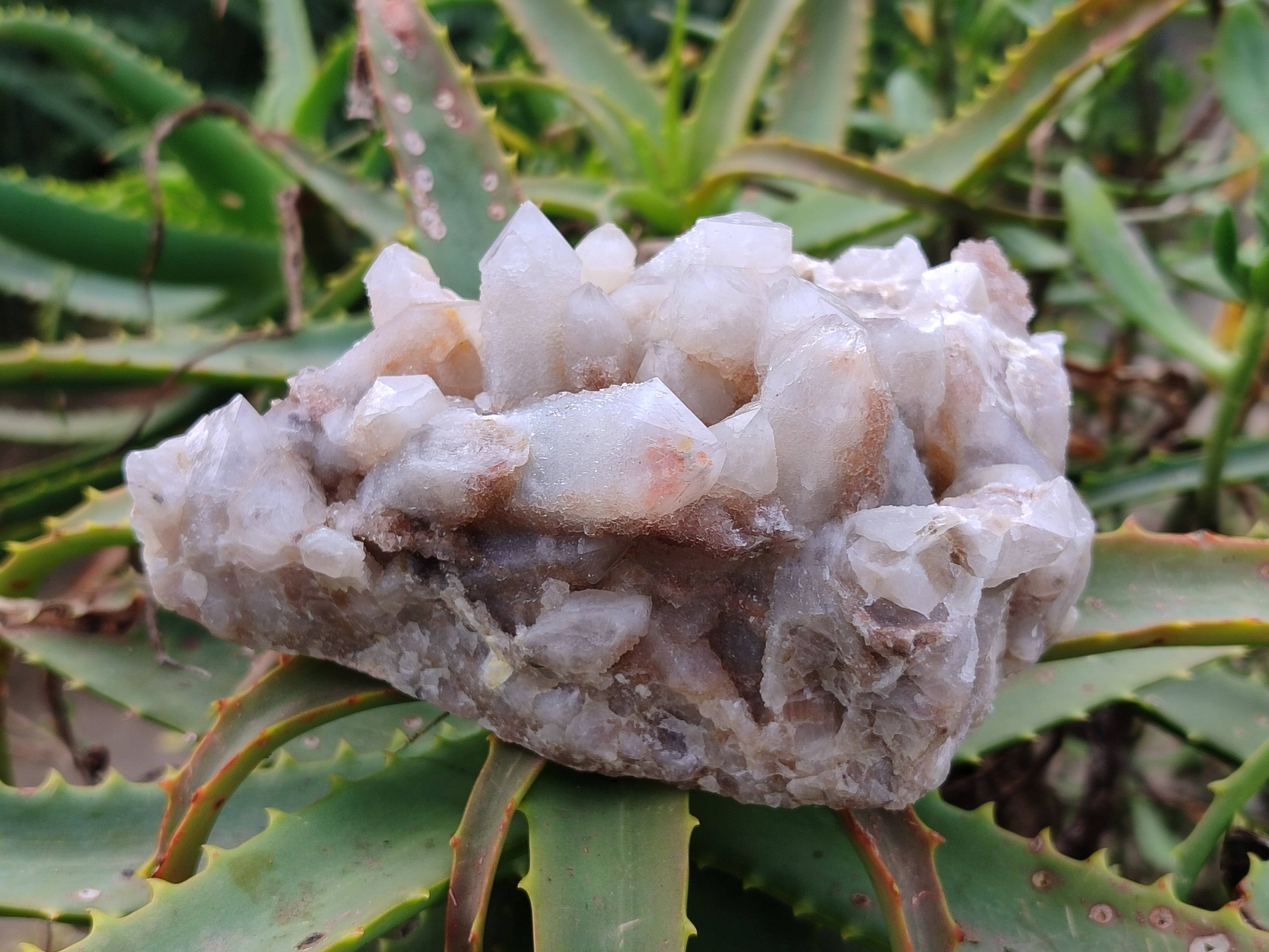 Natural Fairy Spirit Quartz Clusters x 3 From South Africa - Toprock Gemstones and Minerals 