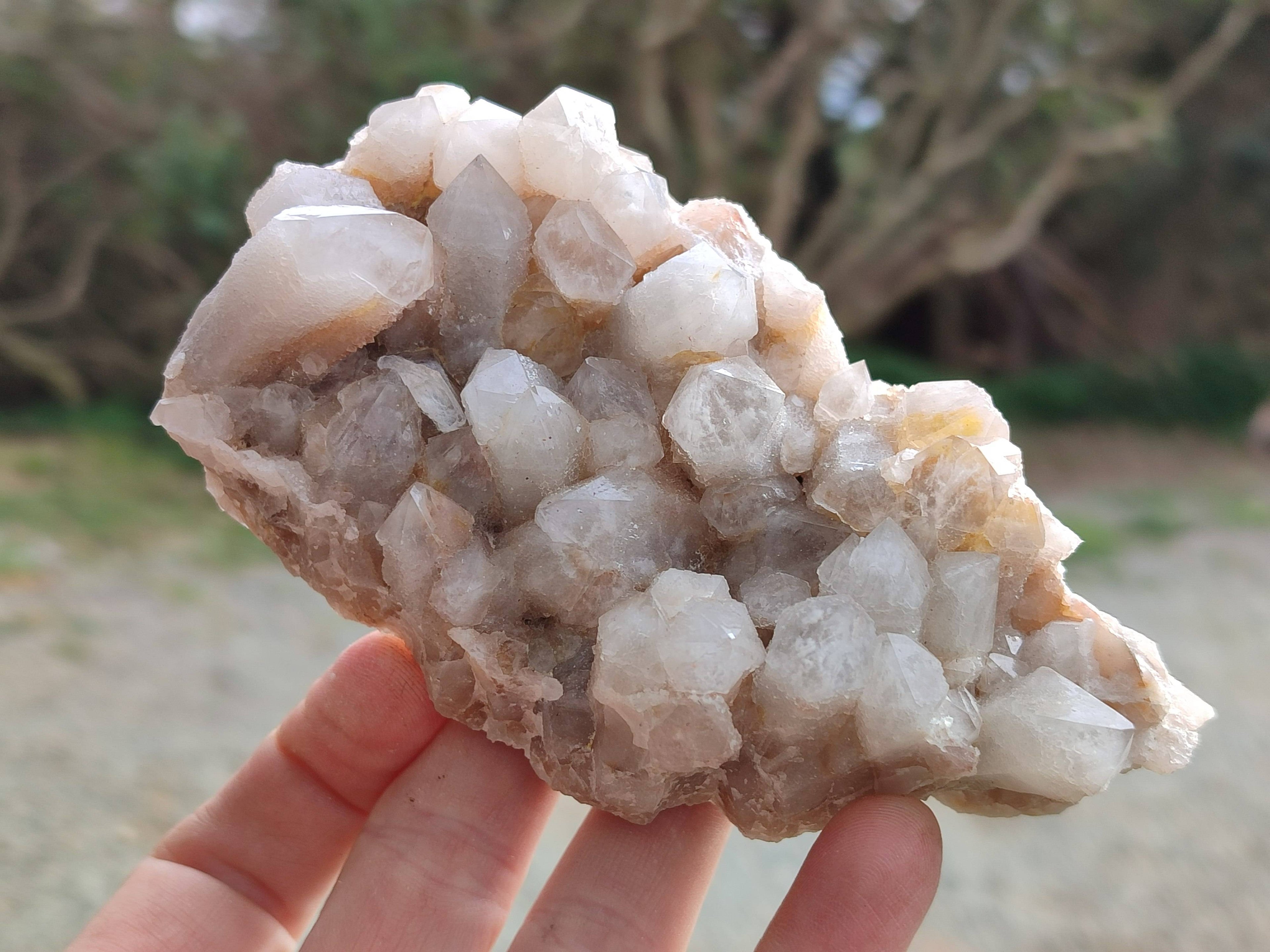 Natural Fairy Spirit Quartz Clusters x 3 From South Africa - Toprock Gemstones and Minerals 