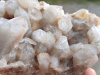 Natural Fairy Spirit Quartz Clusters x 3 From South Africa - Toprock Gemstones and Minerals 