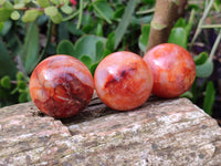 Polished Carnelian Agate Spheres x 6 From Madagascar - Toprock Gemstones and Minerals 